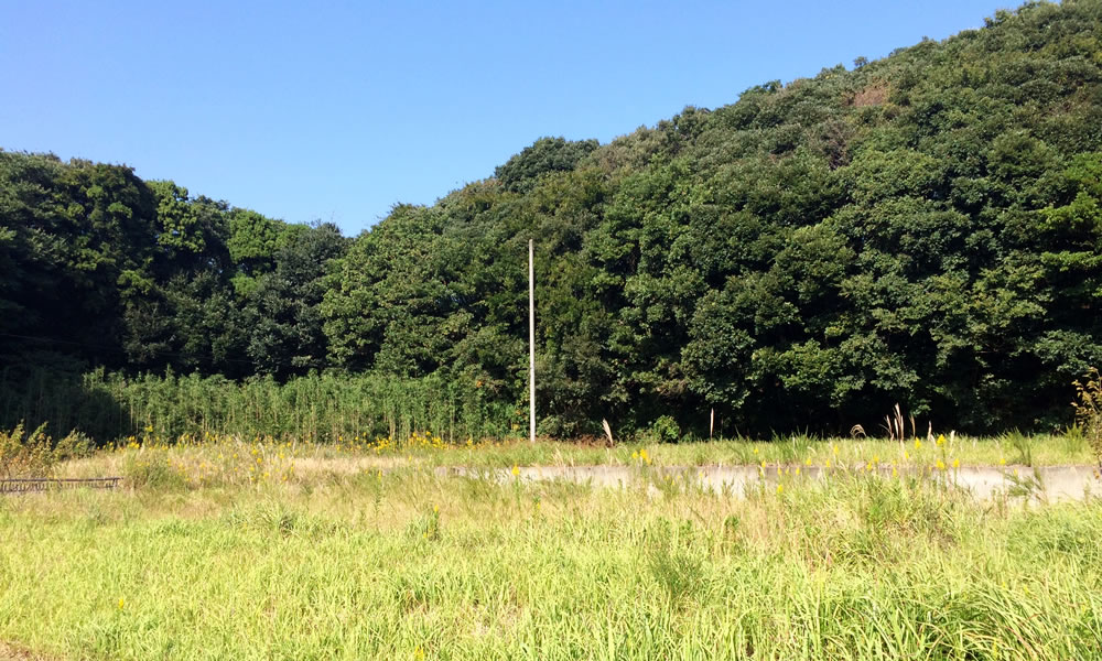 自然豊かな土地へ敷地調査