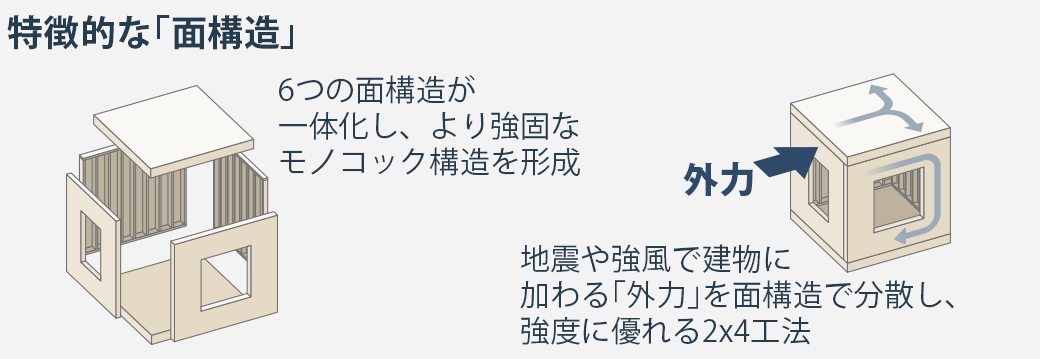 ツーバイフォーを特徴づける面構造